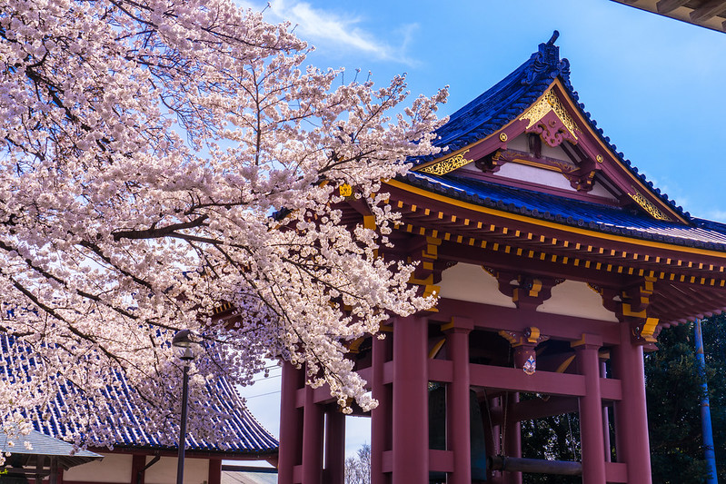 Ikegami Honmonji Temple