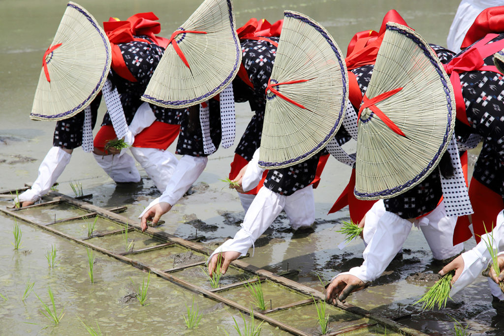 Otaue Rice Planting Festival