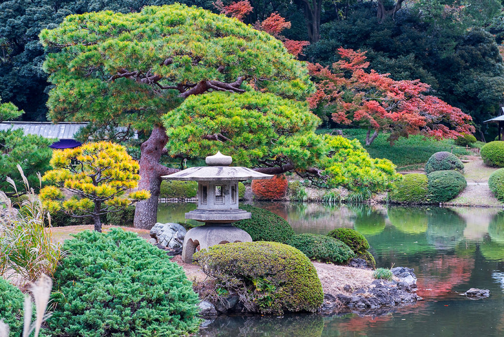 Shinjuku Gyoen National Garden