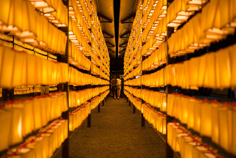 Paper Lanterns, Mitama Matsuri