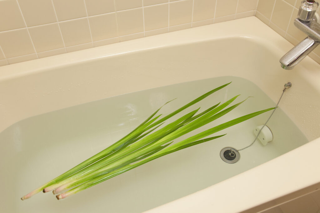 Iris leaves placed in a bath in Japan.